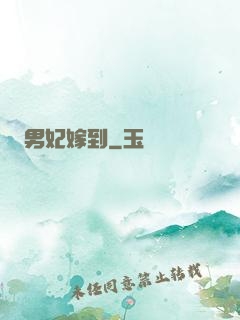 男妃嫁到