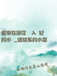 皇帝在御花園進入貴妃的小說
