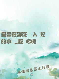 皇帝在御花園進入貴妃的小說
