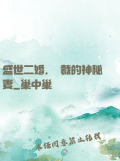 盛世二婚，總裁的神秘妻