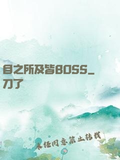 目之所及皆BOSS