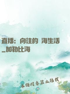 直播：向往的趕海生活
