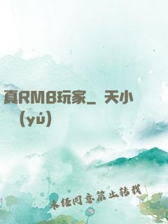 真RMB玩家