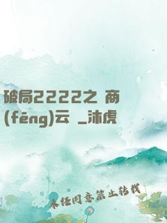 破局2222之電商風(fēng)云錄