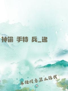 神偷殺手特種兵