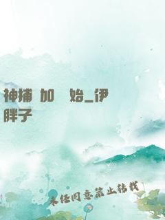 神捕從加點開始