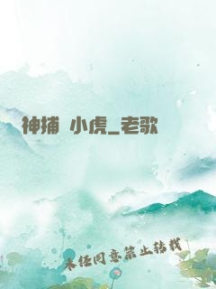 神捕聶小虎