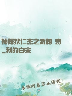 神探狄仁杰之武朝傳奇