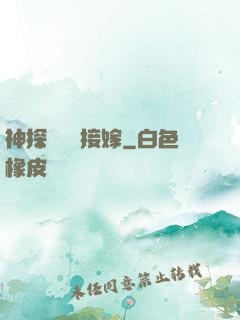 神探駙馬請接嫁