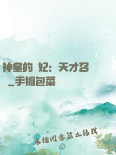 神皇的寵妃：天才召喚師