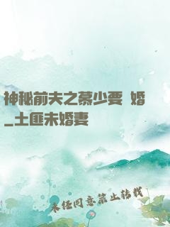 神秘前夫之慕少要復婚