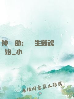 神級輔助：從雙生器魂開始