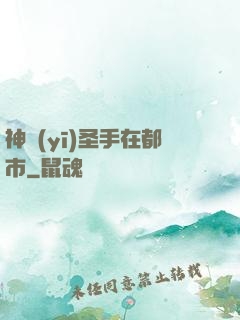 神醫(yī)圣手在都市