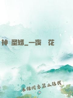 神醫圣婿
