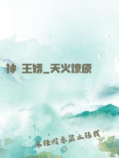 神醫王婿