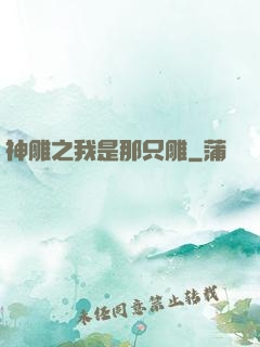 神雕之我是那只雕