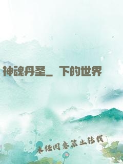 神魂丹圣