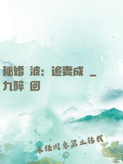秘婚風波：追妻成癮