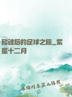 移魂后的足球之旅