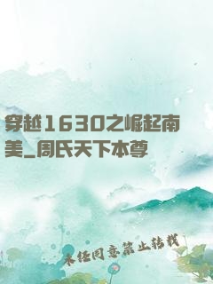 穿越1630之崛起南美