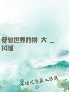 穿越世界的拼裝大師