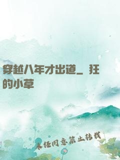 穿越八年才出道