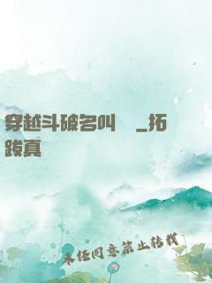 穿越斗破名叫蕭風