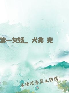 第一女婿