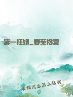 第一狂婿