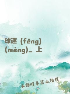 籃球逐風(fēng)夢(mèng)