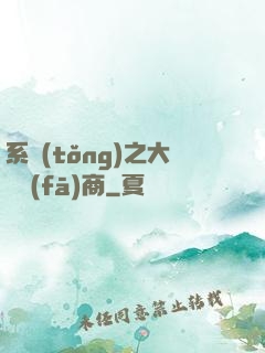 系統(tǒng)之大開發(fā)商