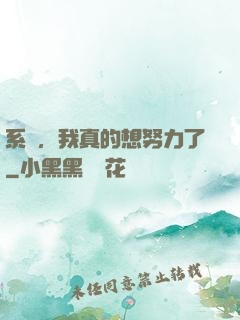 系統，我真的想努力了
