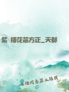 紫龍插花芯方正