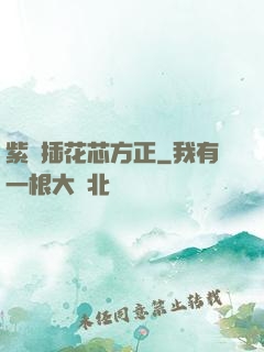 紫龍插花芯方正