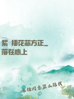 紫龍插花芯方正