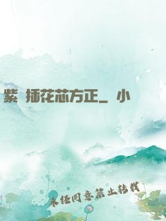 紫龍插花芯方正