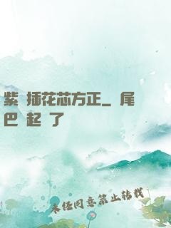 紫龍插花芯方正