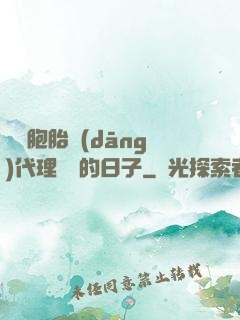 給雙胞胎當(dāng)代理媽媽的日子