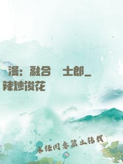 綜漫：融合衛宮士郎