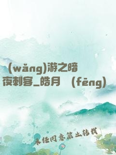 網(wǎng)游之暗夜刺客