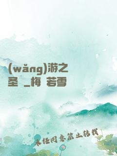 網(wǎng)游之無敵圣騎