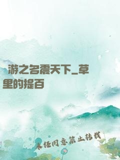 網游之名震天下