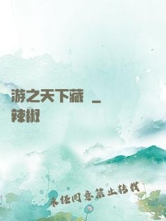 網游之天下藏鋒