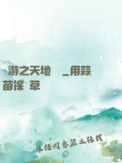 網游之天地縱橫