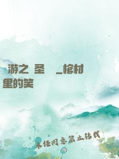 網游之戰圣歸來