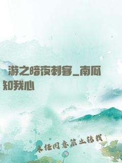 網游之暗夜刺客
