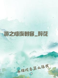網游之暗夜刺客