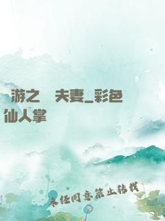 網游之烏龍夫妻