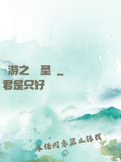 網游之無敵圣騎
