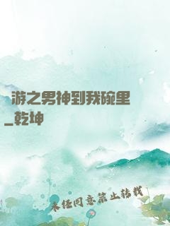 網游之男神到我碗里來